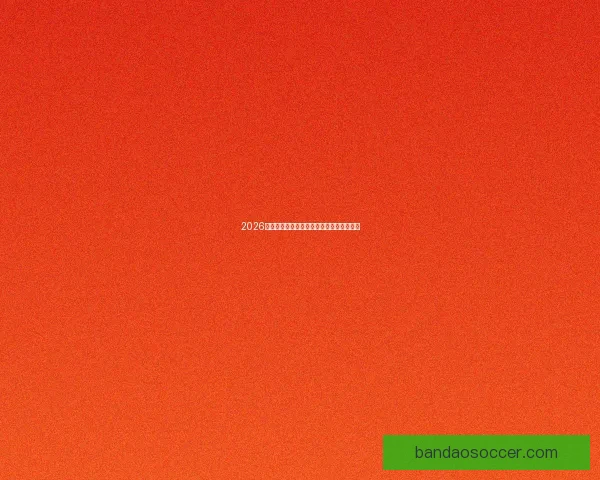 2026世界杯将在北美三国掀起足球盛宴全景解析