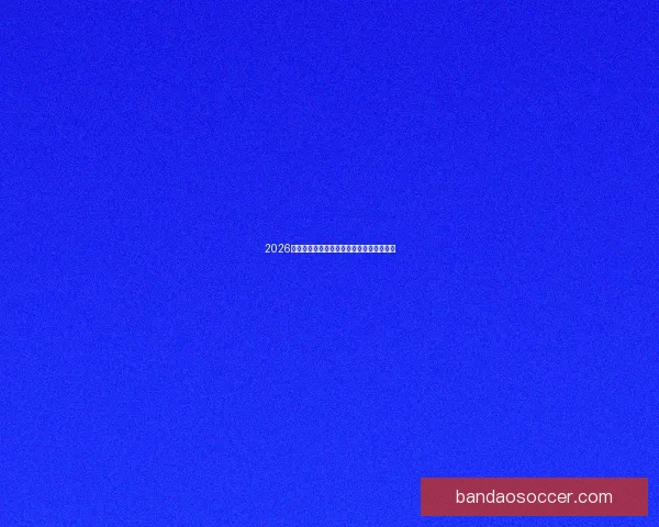 2026世界杯将在北美三国掀起足球盛宴全景解析