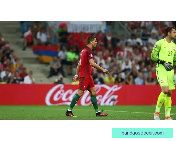 半岛体育官网全新升级 体验更流畅畅玩体育赛事新世界