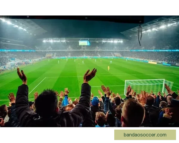 纵览2026世界杯北美三国举办城市文化风景与足球热情交汇之旅